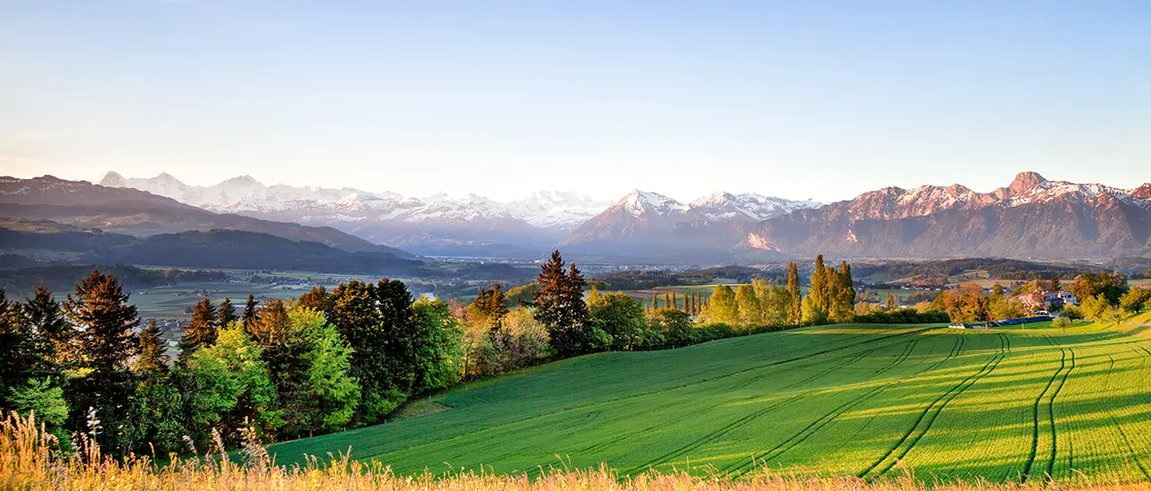 Blick auf die Alpen