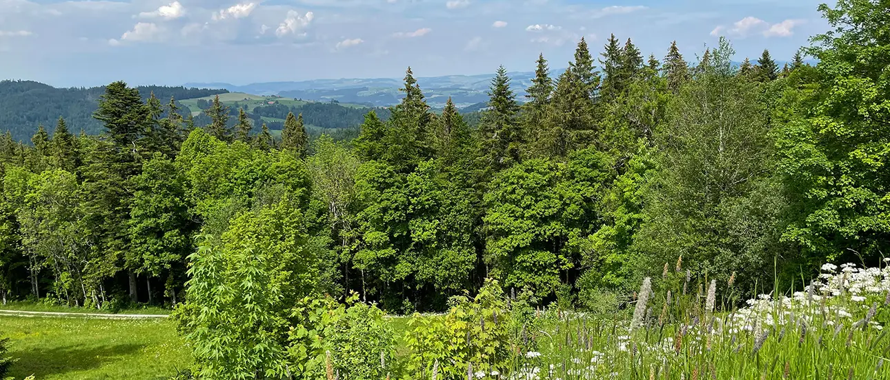 Blick auf die Alpen