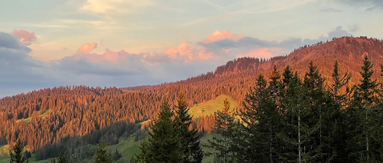 Blick auf die Alpen